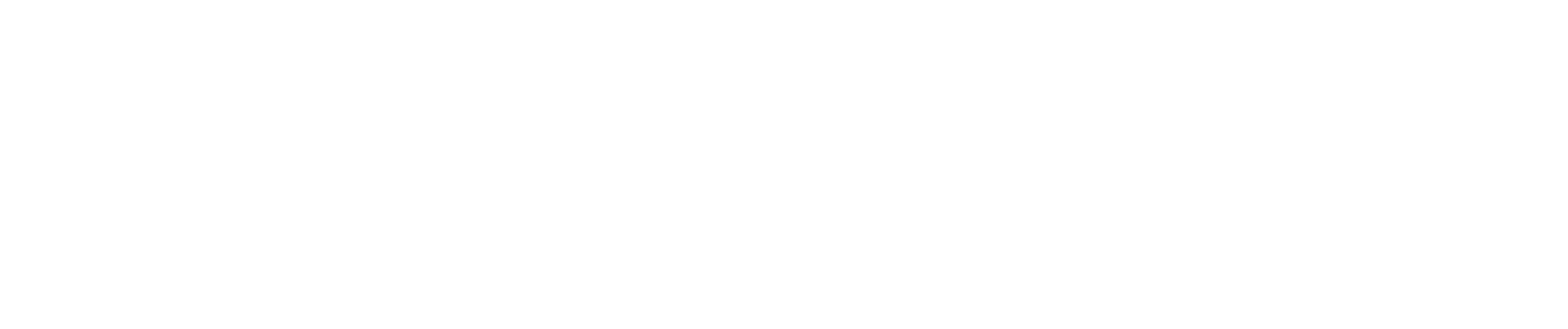BoostNet